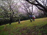 晴れていれば・・・・