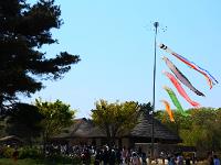 DSC 1629 00026