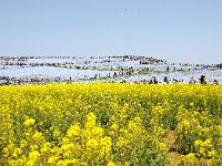 IMG 3467