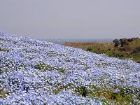 変わらぬ景色