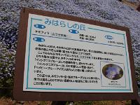 IMG 3493