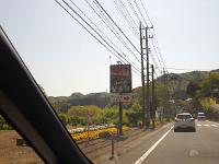 IMG 3751