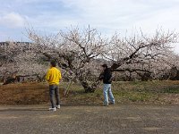 何を狙っているのやら？