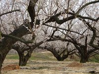 一寸、絵になる景色と見た！