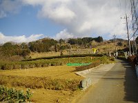 何処が「梅園」か分かりますか？　枯れ草・枯葉に混じって判別できませんよね！