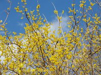 もう少し、青ぞやが欲しかった！