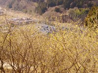 彼方に駐車場と特養