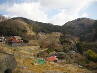 イノシシと鹿と共生しなくてはならない限界集落の外れ