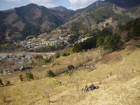 老夫婦が梅園で日向ぼっこ・・・ほっこりする景色