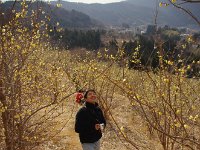 何を狙っているのかな？