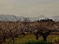 微かに「富士山」・・・分かりますか？