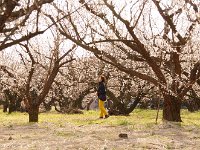 いい感じ・・・花の精？
