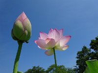 DSC02422