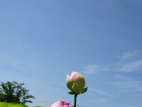 DSC02437