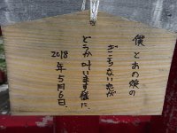 DSC02500