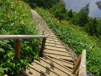 遊歩道が続きます