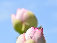 DSC 0033