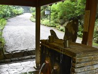 DSC 0191