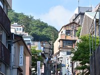 見上げると・・・