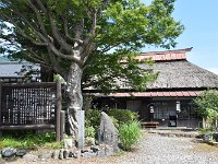 DSC 0408