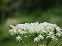 DSC 0503