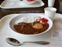 山はカレーの限りますね