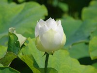 IMG 0146