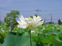 IMG 0164