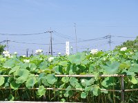 IMG 0169