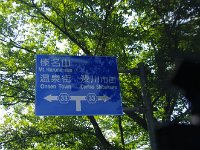 IMG 0252