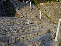 IMG 0268