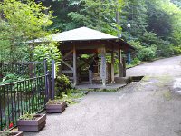 IMG 0287