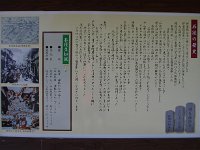 IMG 0313