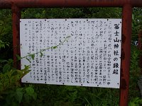 IMG 0342