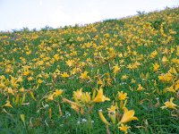 IMG 0419