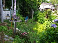IMG 0467