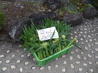 予想外に、美味しかった！