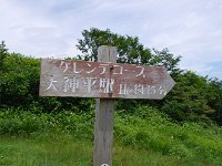 IMG 0559