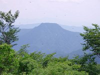 吾妻山とトンボ