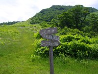IMG 0594