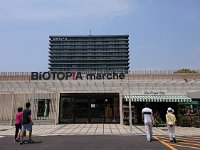 DSC 0027 1533552196638