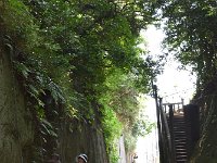 蝉しぐれの切通し