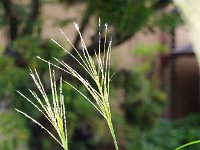 どうです・・・このアングル