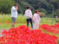 大川夫妻が同行