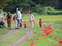 子供が可愛い！