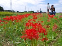 撮る人と観る人