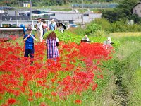 描く人と撮る人更に観る人