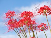 空をバックに！