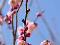 いい色目ですね