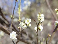 月影・・・分かる気がします